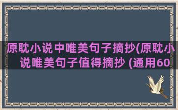 原耽小说中唯美句子摘抄(原耽小说唯美句子值得摘抄 (通用60句))